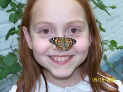 thumbs/olivia_butterfly.jpg.jpg
